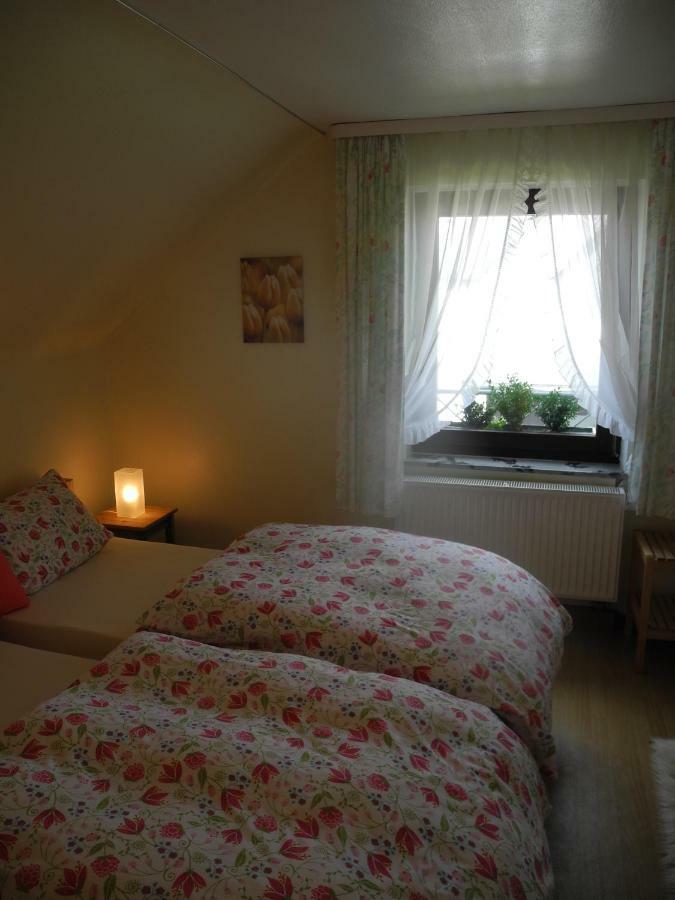 Villa Luzia Meuspath Екстериор снимка